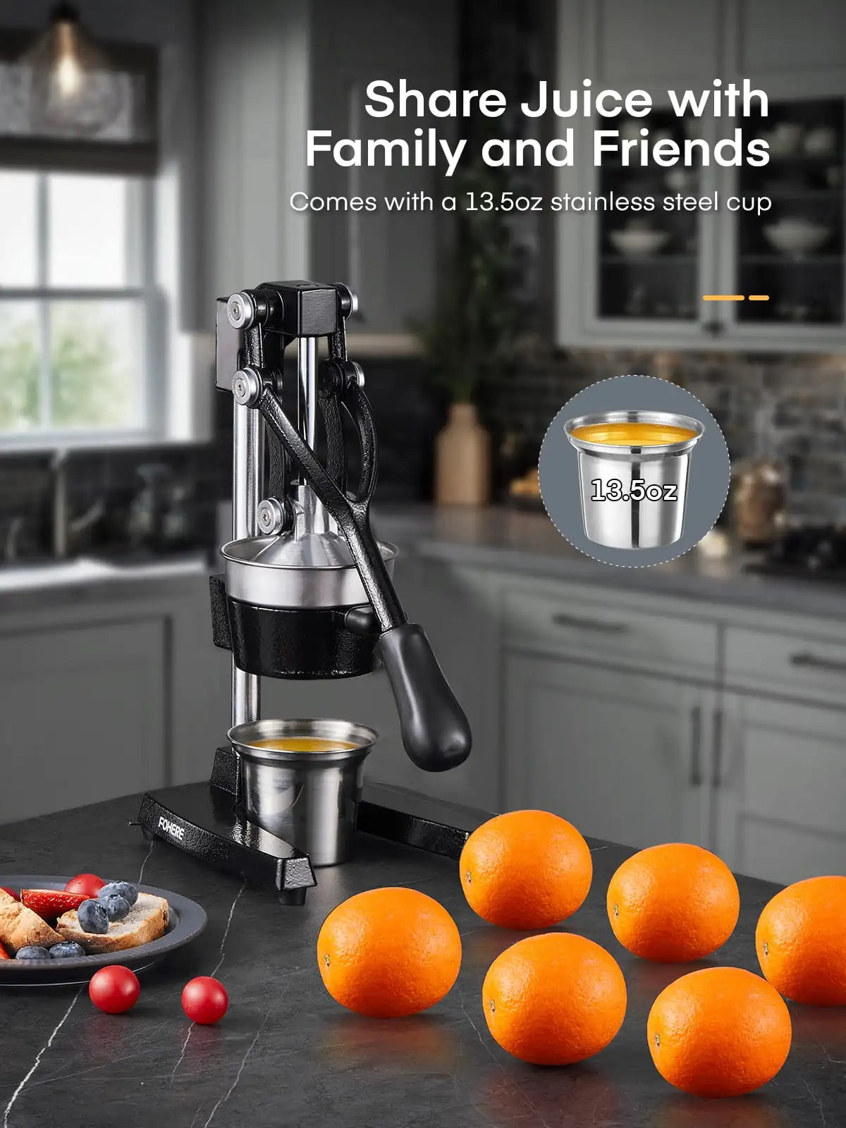 Premium Stainless Cast Iron Juicer